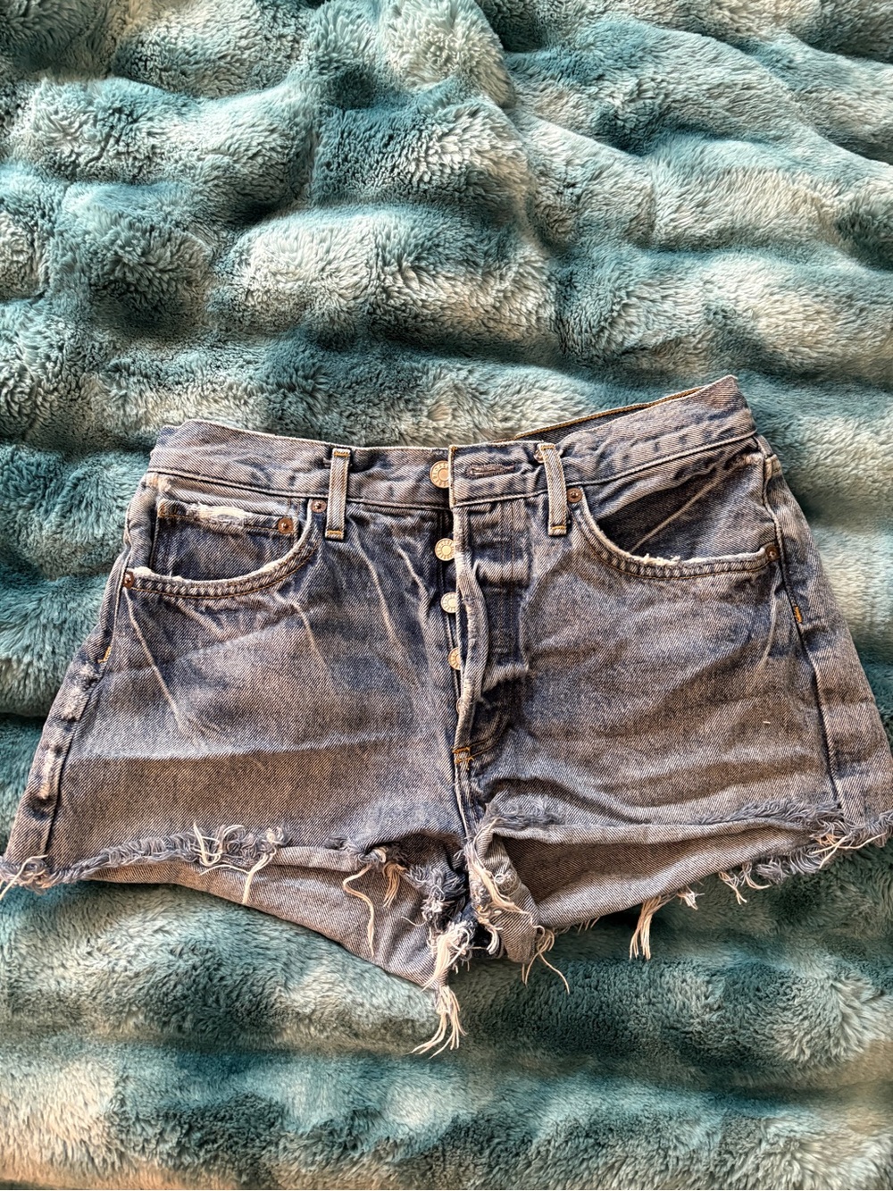 AGOLDE Parker Shorts A206-1206